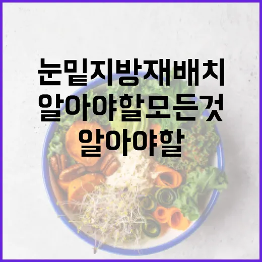 눈밑지방재배치를 고려할 때 알아야 할 모든 것 - 요약