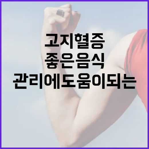 고지혈증 관리에 도움이 되는 좋은 음식 선택 방법 - 요약