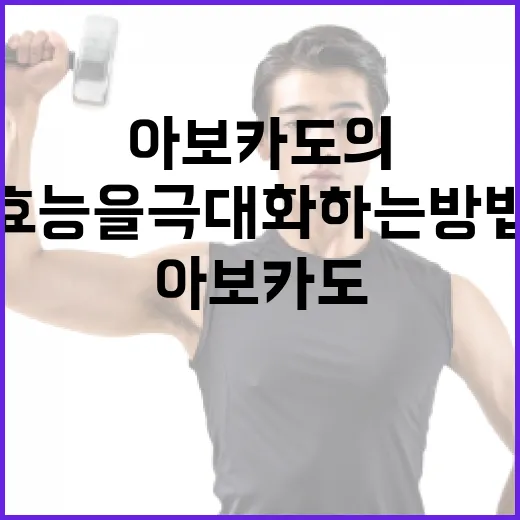 아보카도의 건강 효능을 극대화하는 방법 - 요약