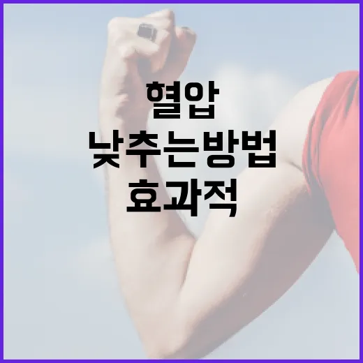 효과적으로 혈압을 낮추는 방법 - 요약