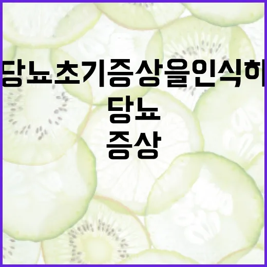 당뇨 초기증상을 인식하는 방법 - 요약