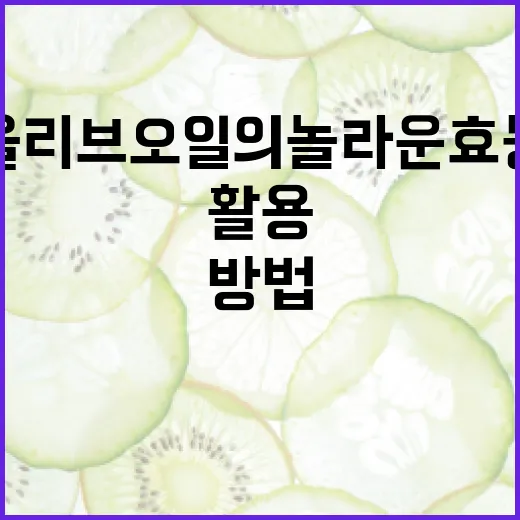 올리브오일의 놀라운 효능을 최대한 활용하는 방법 - 요약