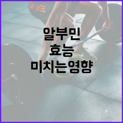 알부민의 효능과 건강에 미치는 영향 - 요약