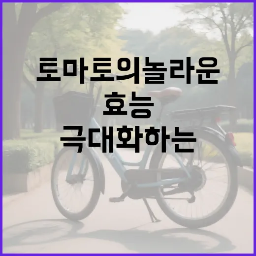 토마토의 놀라운 건강 효능을 극대화하는 방법 - 요약