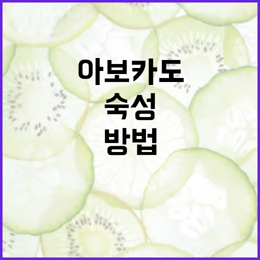 아보카도를 완벽하게 숙성시키는 방법 - 요약