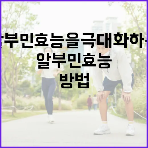 알부민 효능을 극대화하는 방법 - 요약