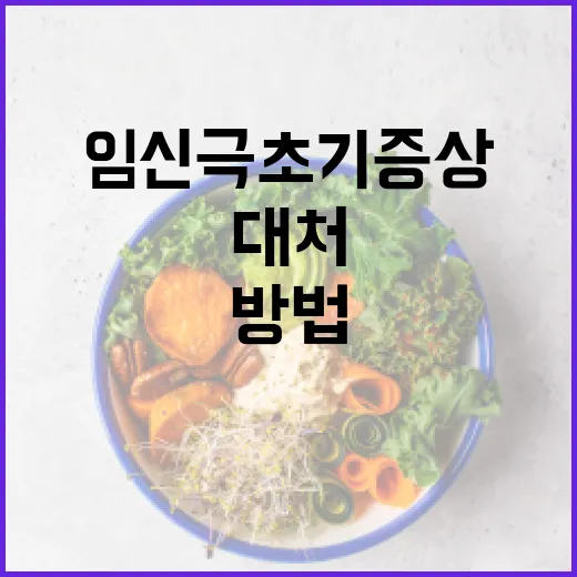 임신 극초기 증상을 알아보고 대처하는 방법 - 요약