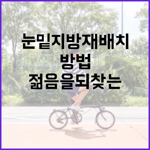 눈밑지방재배치로 젊음을 되찾는 방법 - 요약