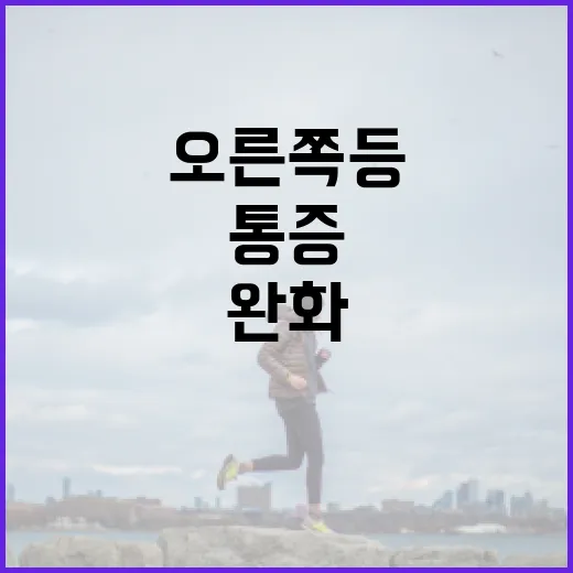 오른쪽 등 통증을 완화하는 방법 - 요약