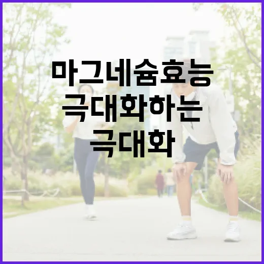 마그네슘 효능을 극대화하는 방법 - 요약
