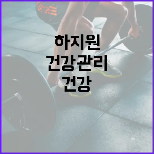 하지원을 위한 최적의 건강 관리 방법 - 요약