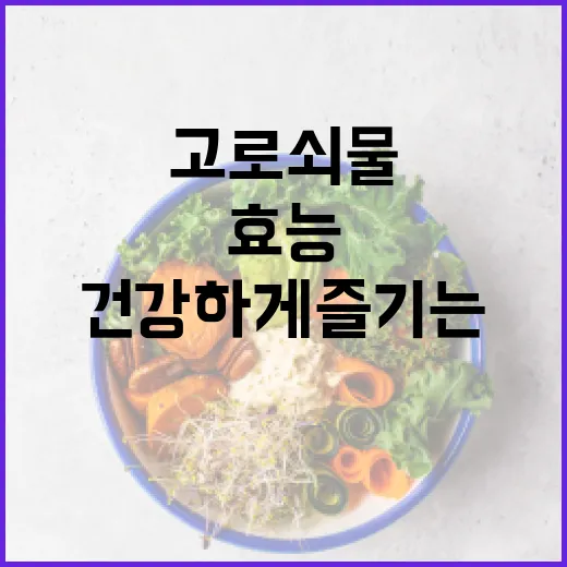 고로쇠물의 효능과 건강하게 즐기는 방법 - 요약