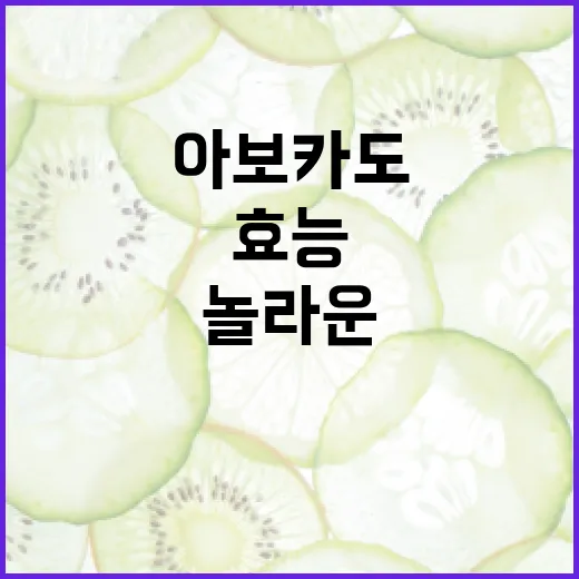 아보카도의 놀라운 효능을 최대한 활용하는 방법 - 요약