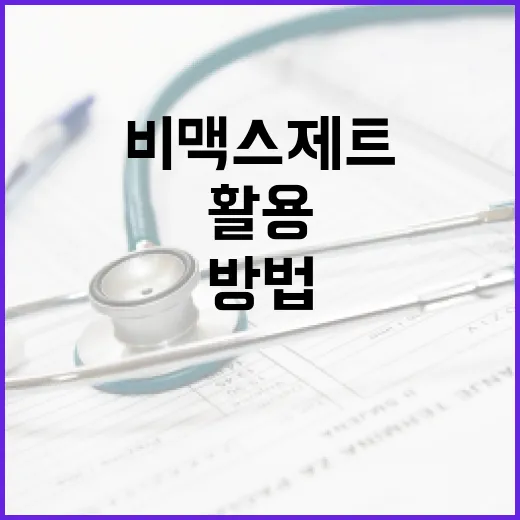 비맥스제트 효과적으로 활용하는 방법 - 요약
