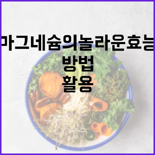 마그네슘의 놀라운 효능을 최대한 활용하는 방법 - 요약