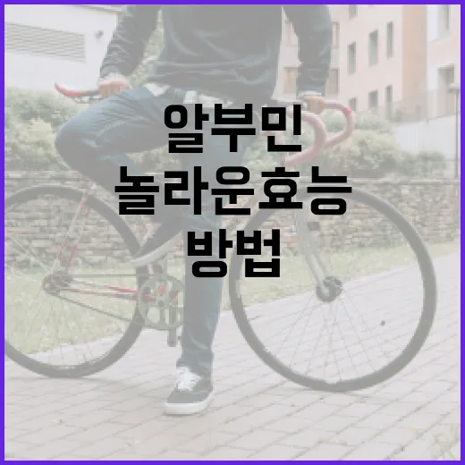 알부민의 놀라운 효능과 활용 방법 - 요약