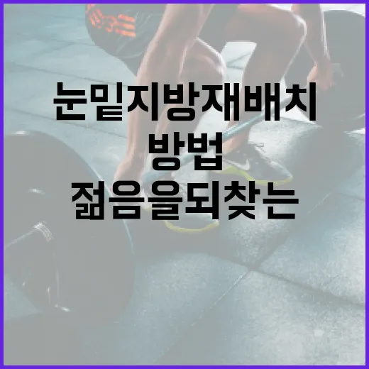 눈밑지방재배치로 젊음을 되찾는 방법 - 요약