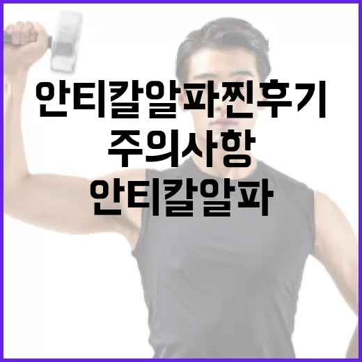 안티칼알파 찐후기: 효과적인 사용법과 주의사항 - 요약