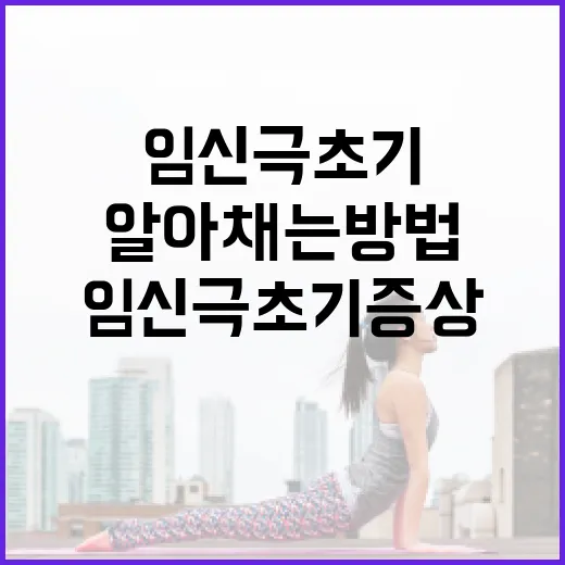 임신 극초기 증상을 알아채는 방법 - 요약