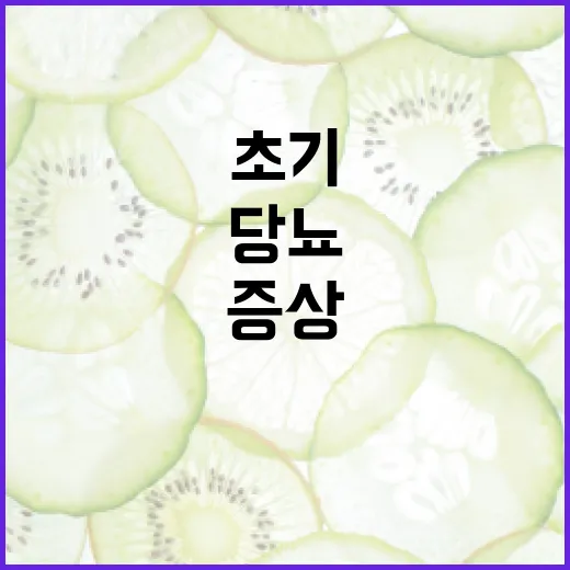 당뇨 초기증상을 알아차리는 방법 - 요약