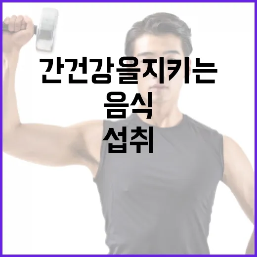 간 건강을 지키는 음식 섭취 방법 - 요약