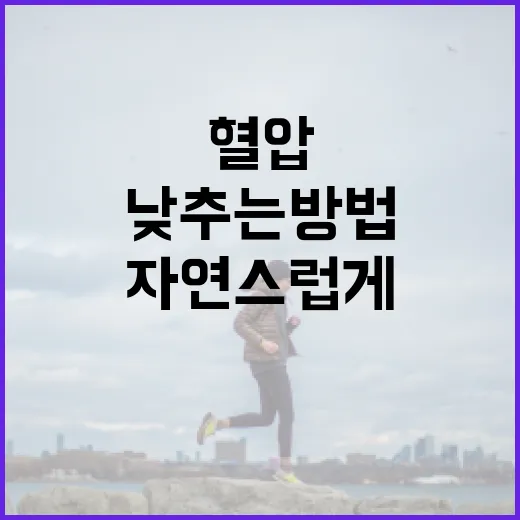 자연스럽게 혈압을 낮추는 방법 - 요약