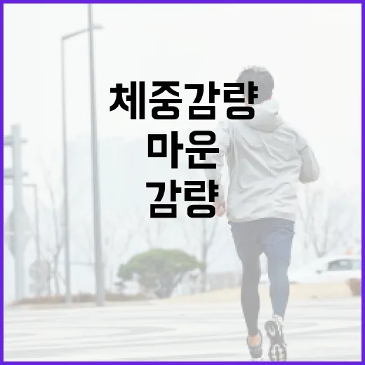 마운자르로 건강하게 체중 감량하는 방법 - 요약