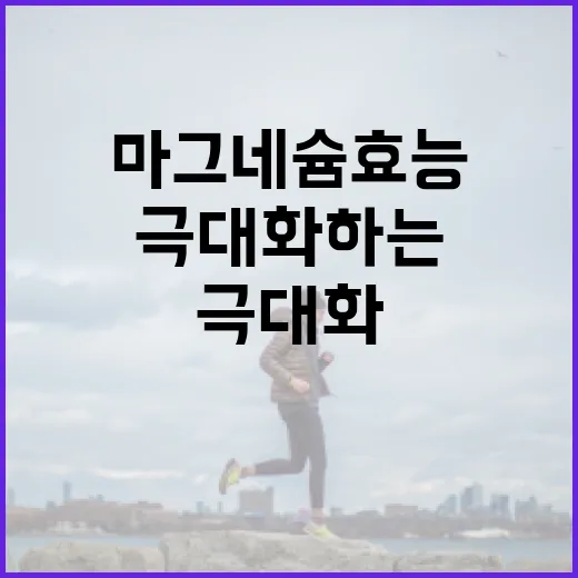 마그네슘 효능을 극대화하는 방법 - 요약