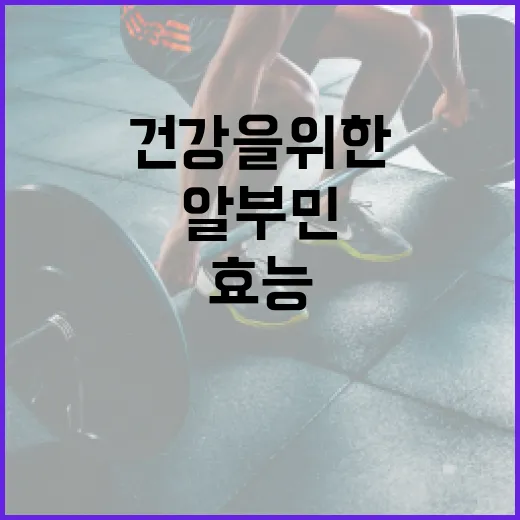 알부민의 효능과 건강을 위한 활용 방법 - 요약