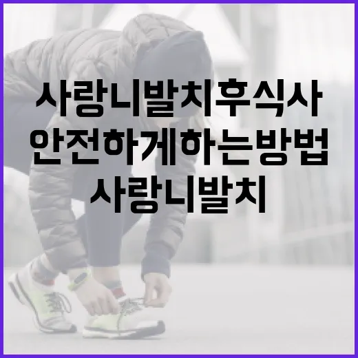 사랑니 발치 후 식사를 안전하게 하는 방법 - 요약