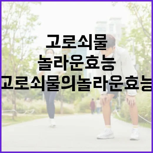 고로쇠물의 놀라운 효능과 활용 방법 - 요약