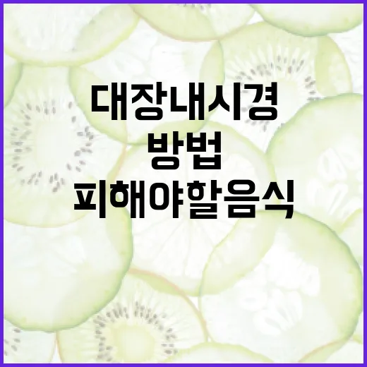 대장내시경 전 피해야 할 음식과 준비 방법 - 요약