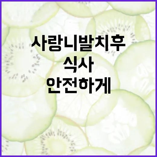 사랑니 발치 후 안전하게 식사하는 방법 - 요약