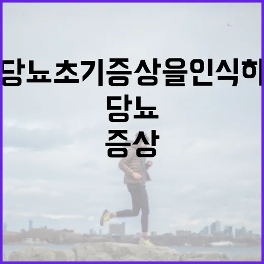 당뇨 초기증상을 인식하는 방법 - 요약