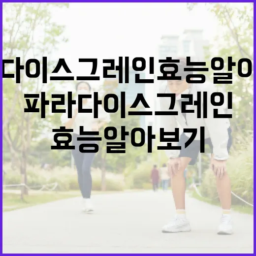 파라다이스 그레인 효능 알아보기: 건강을 위한 방법 - 요약