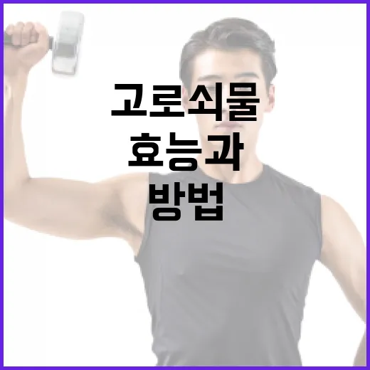 고로쇠물의 효능과 건강하게 섭취하는 방법 - 요약