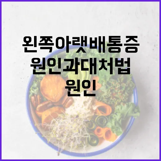 왼쪽 아랫배 통증 해결 방법: 원인과 대처법 - 요약