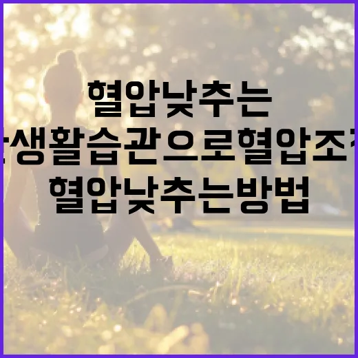 혈압 낮추는 방법: 건강한 생활습관으로 혈압 조절하기 - 요약