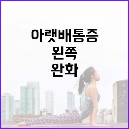 왼쪽 아랫배 통증을 완화하는 방법 - 요약