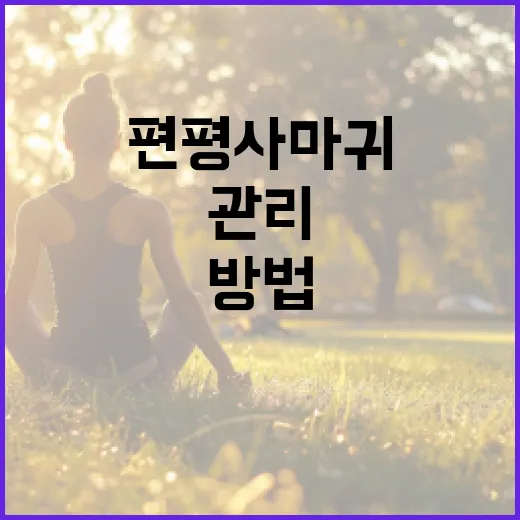 편평사마귀를 효과적으로 관리하는 방법 - 요약