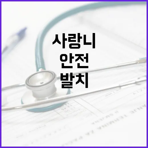 사랑니 발치 후 식사하는 방법: 안전하고 건강하게 - 요약