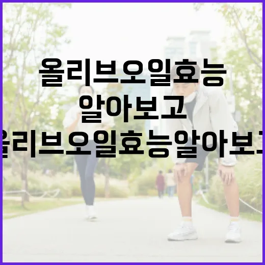 올리브오일 효능 알아보고 건강하게 활용하는 방법 - 요약