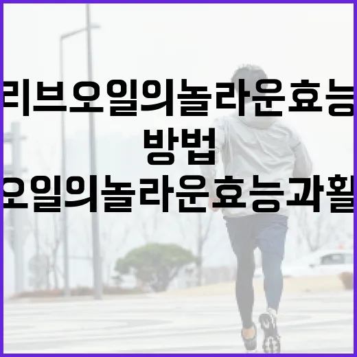 올리브오일의 놀라운 효능과 활용 방법 - 요약