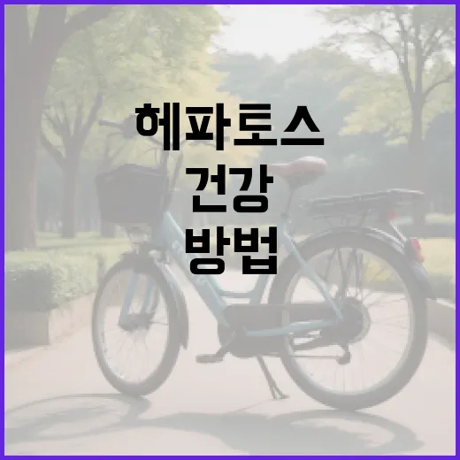 헤파토스를 건강하게 관리하는 방법 - 요약