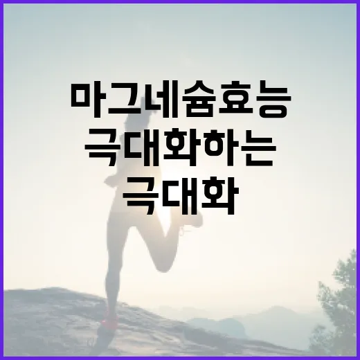 마그네슘 효능을 극대화하는 방법 - 요약