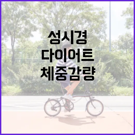 성시경 다이어트로 건강하게 체중 감량하는 방법 - 요약