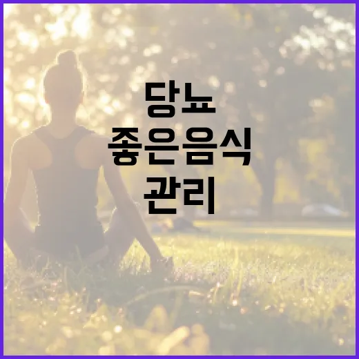 당뇨 관리에 좋은 음식을 선택하는 방법 - 요약