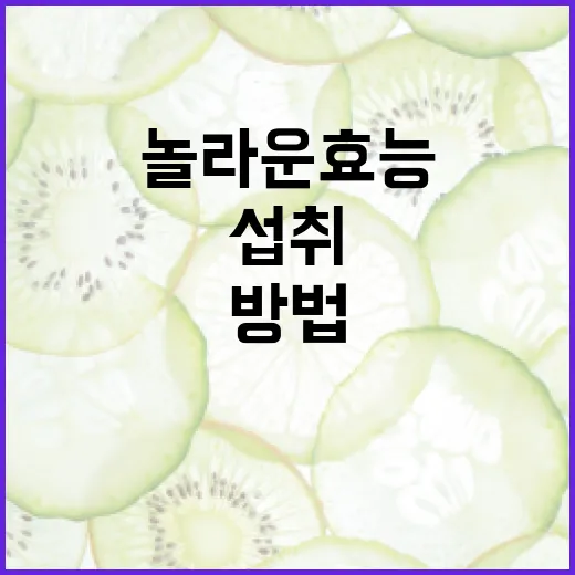 마그네슘의 놀라운 효능과 올바르게 섭취하는 방법 - 요약