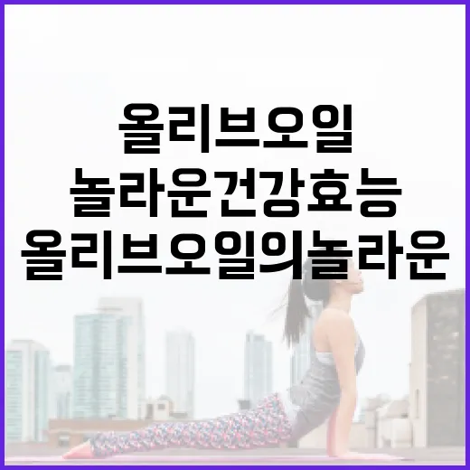 올리브오일의 놀라운 건강 효능을 최대화하는 방법 - 요약