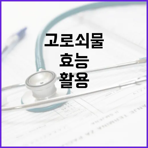 고로쇠물의 효능을 최대한 활용하는 방법 - 요약